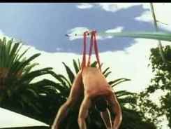 Diet Irn Bru - Diving Lothario
